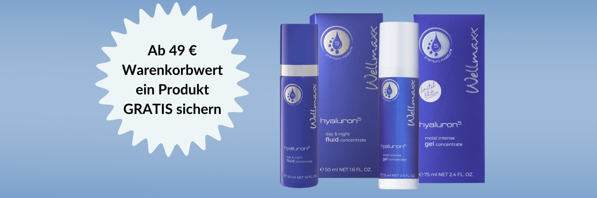 WELLMAXX Angebot