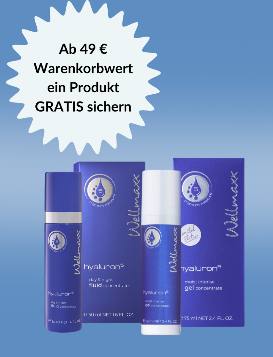 WELLMAXX Angebot