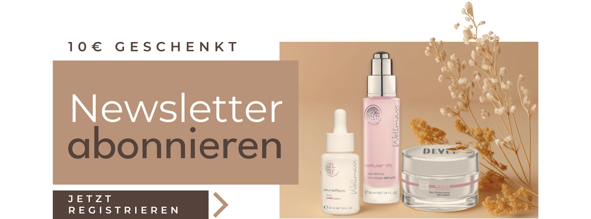 NL Angebot